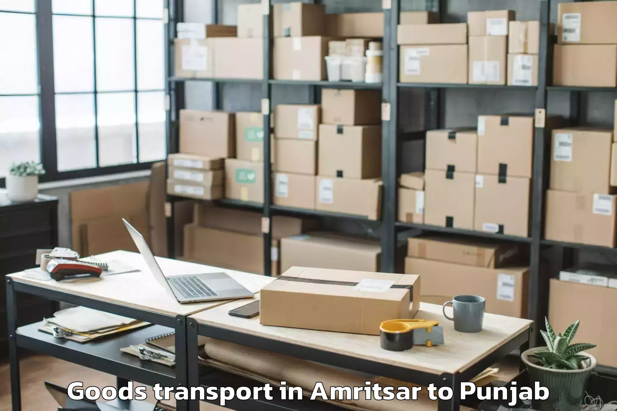 Book Amritsar to Rayat Bahra University Kharar Goods Transport Online